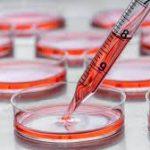 Cell Culture Market