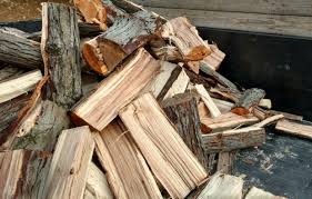 Oak wood chips for smoking meat